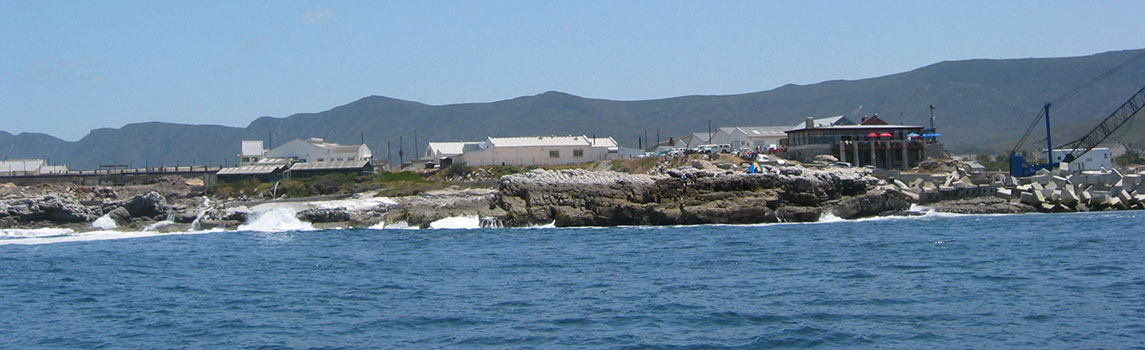 Le Paradis Penthouse Apartment